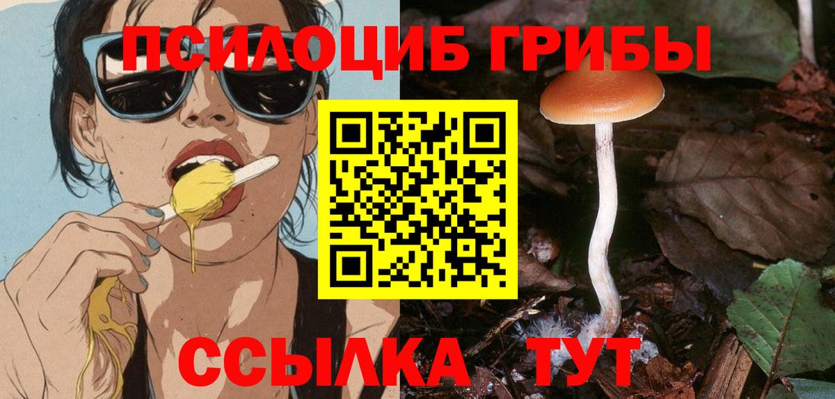Воскресенск  где найти наркотики  Галлюциногенные грибы Psilocybe  Вход с VPN  Псилоцибиновые грибы Psilocybine cubensis 