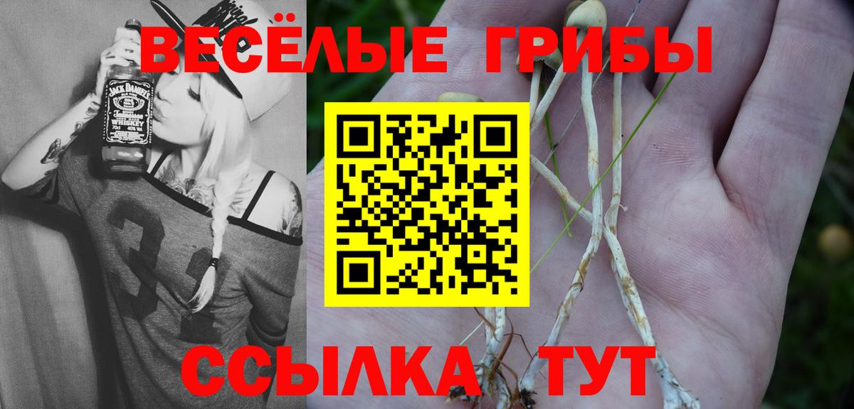 Галлюциногенные грибы мухоморы Воскресенск